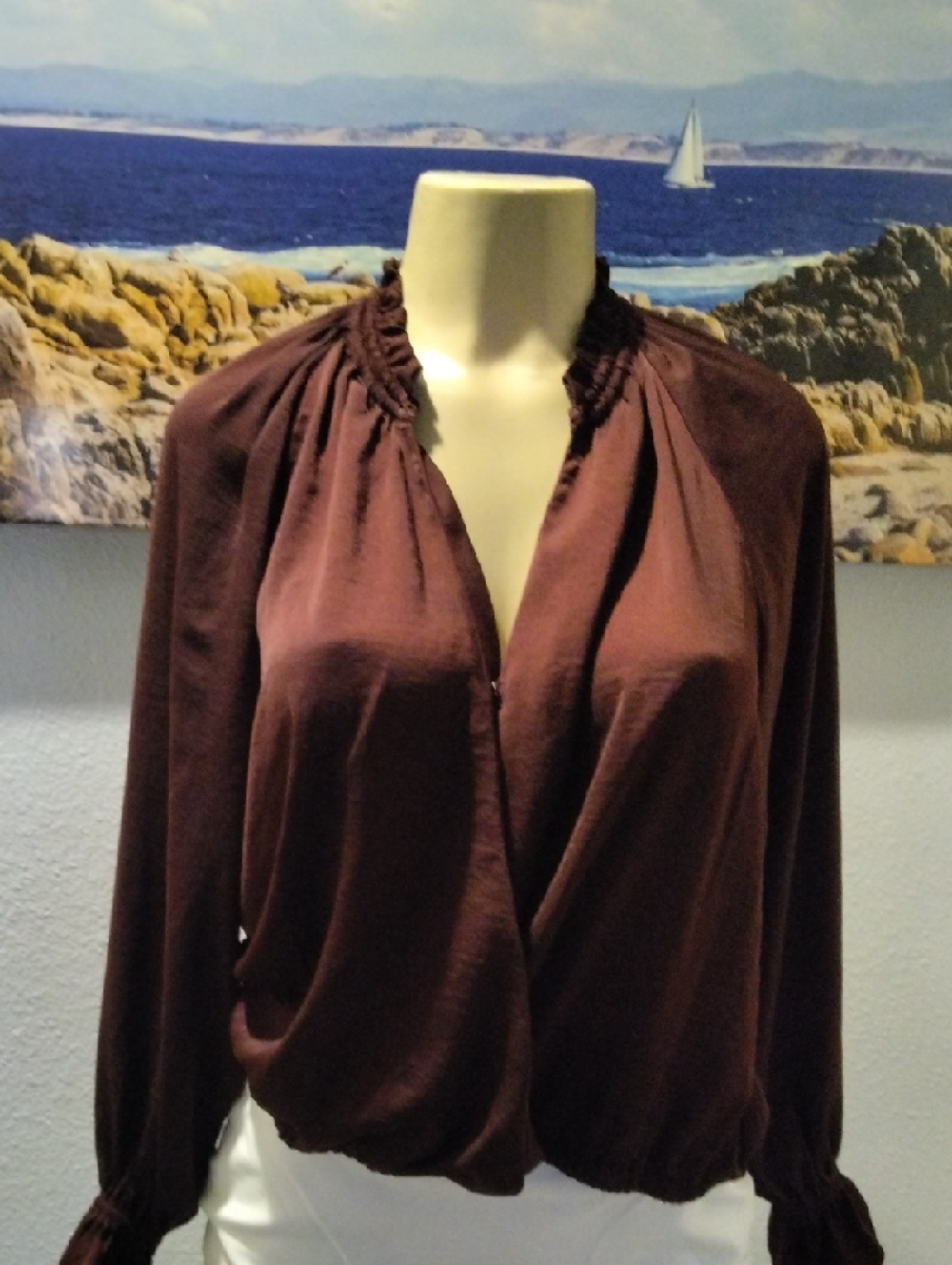 Banana Republic Chocolate Brown Long-Sleeve Draped Blouse